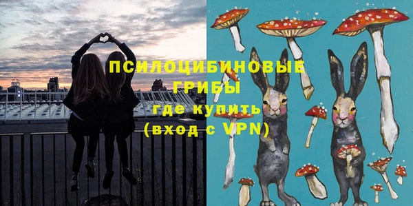 ГАЛЛЮЦИНОГЕННЫЕ ГРИБЫ Дедовск