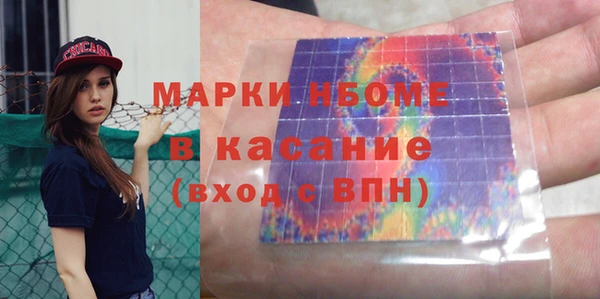 крисы Надым