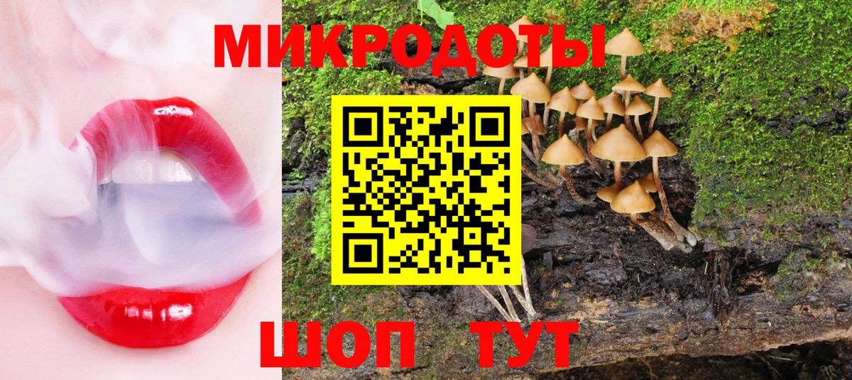 Псилоцибиновые грибы мухоморы  купить наркотики цена  Новоалександровск  Вход с VPN 