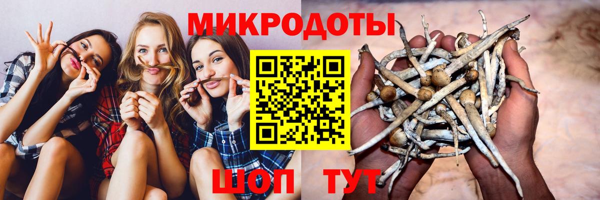 Псилоцибиновые грибы ЛСД Новоалександровск